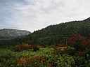 115_1539_img.jpg