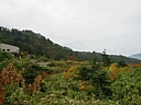 115_1540_img.jpg