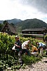 img_0864.jpg