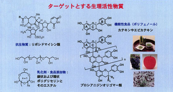 ターゲットとする生理活性物質