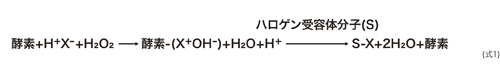 式1