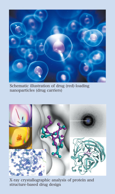Schematic illustration of drug (red)-loading 
nanoparticles (drug carriers)