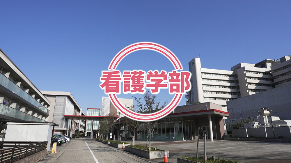 デジタル分野のエキスパートを育成