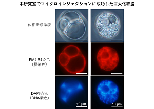 応用生物情報学講座