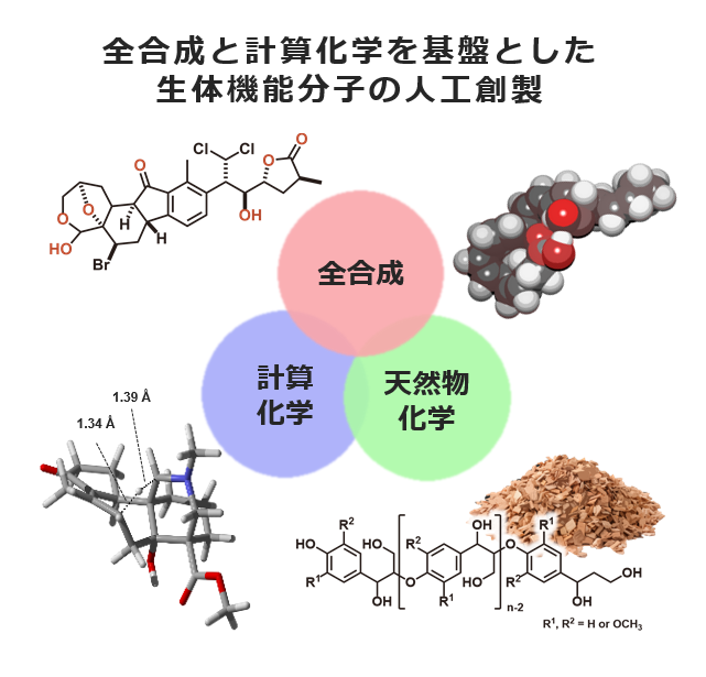 生物有機化学講座