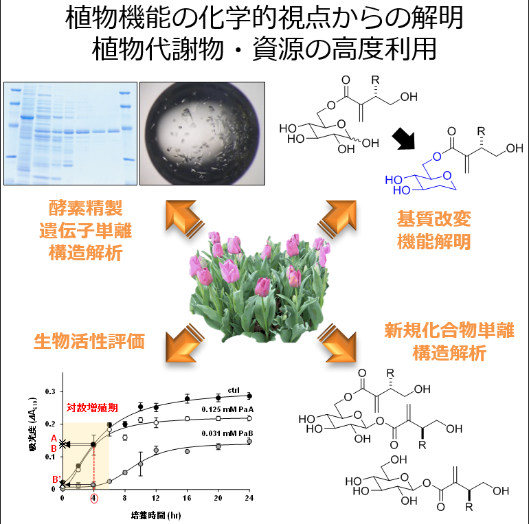 植物機能工学講座