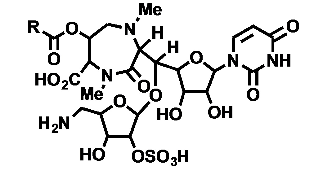 抗生物質：リポシドマイシン類