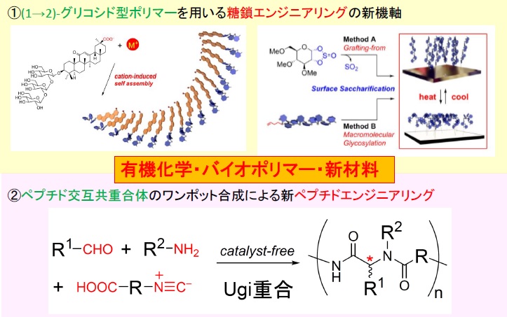 新しい重合反応の開発と新物質創製