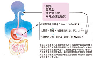 機能性食品工学講座