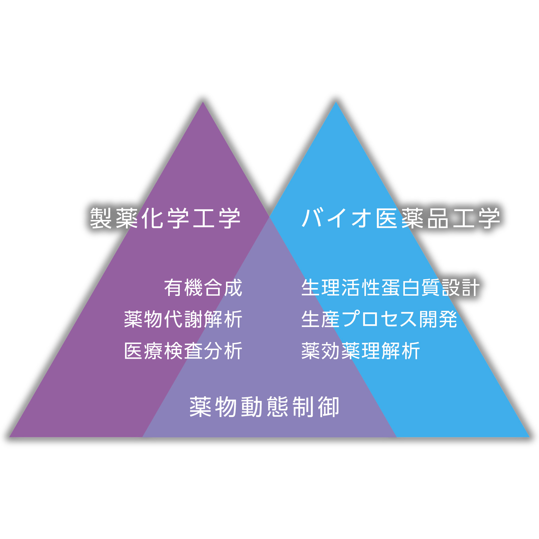 概要図